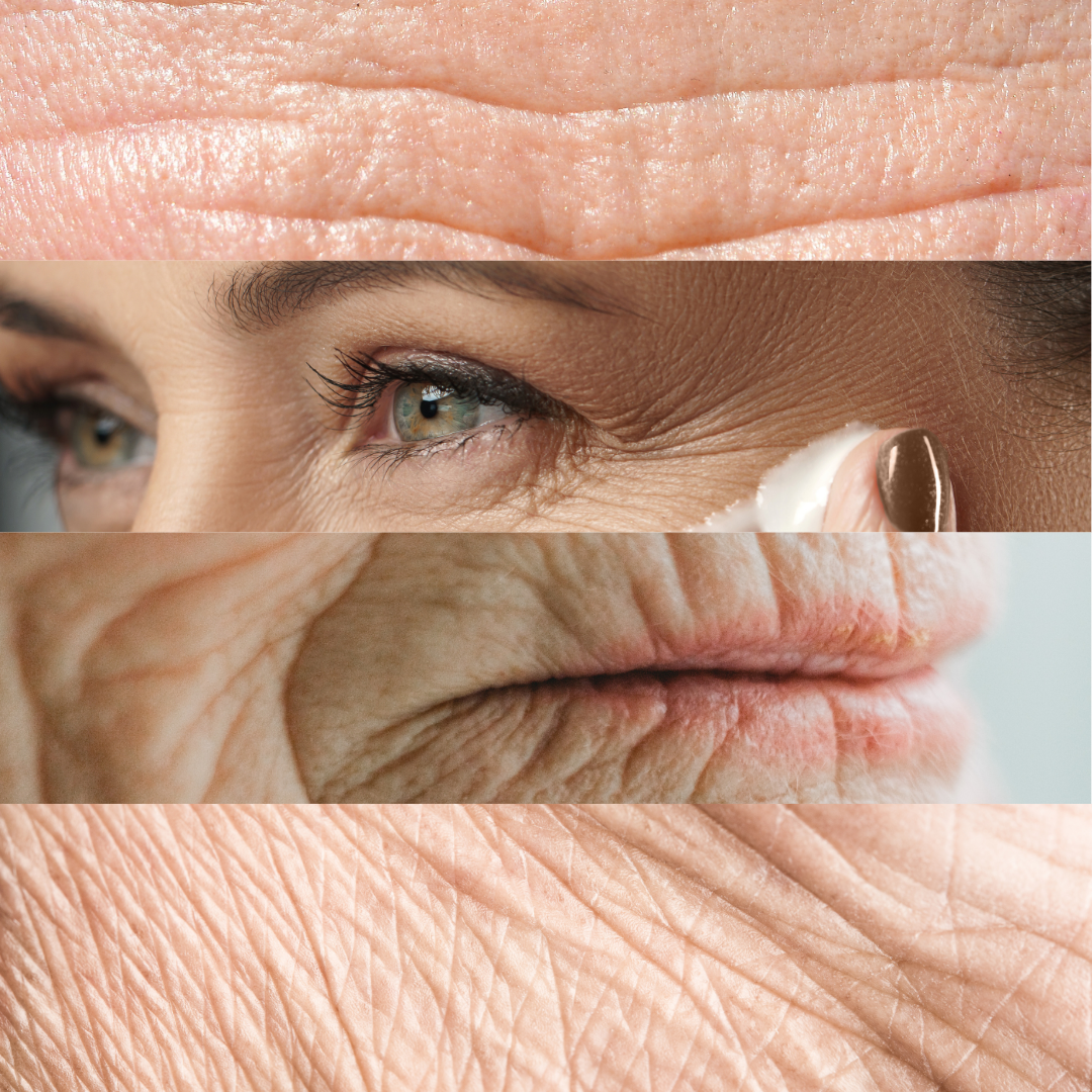 Ageless